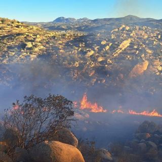 (FOTOS) Fuego en BC: 3 incendios forestales mantienen en vilo a bomberos y rescatistas