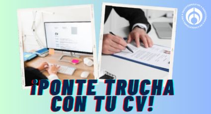 ¿Buscas chamba? Estos son los tips para elaborar y mejorar tu CV, según la IA