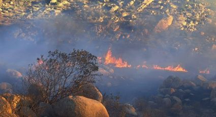 (FOTOS) Fuego en BC: 3 incendios forestales mantienen en vilo a bomberos y rescatistas