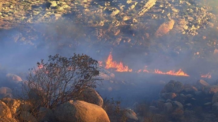 (FOTOS) Fuego en BC: 3 incendios forestales mantienen en vilo a bomberos y rescatistas