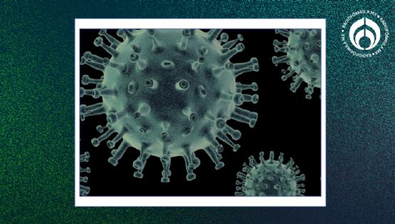 Virus de Marburgo: ¿qué es esta enfermedad con síntomas mortales que puso en alerta a la OMS?