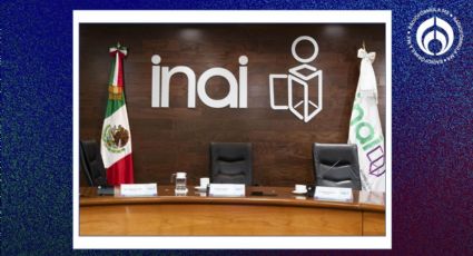 Extinción del INAI: Comisionada explica qué pasará con trabajadores, contratos y Plataforma de Trasparencia