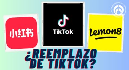 TikTok en vilo: estas son las apps que podrían reemplazarla ante prohibición en EU