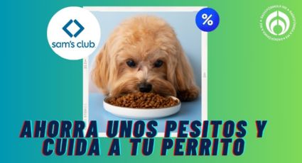 Sam's Club rebaja croquetas que dan heces firmes y pelo brilloso a tu mascota, según Profeco