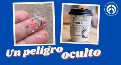 ¿Microplásticos en el café? Así es cómo pueden llegar estas partículas a tu bebida, según estudio