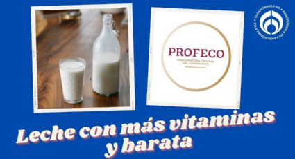 La leche con más vitaminas que es mejor que Lala y Santa Clara, según Profeco