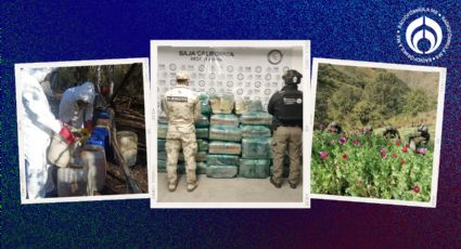 Operativo certero en Tijuana: aseguran 700 kilos de marihuana por 2.6 mdp