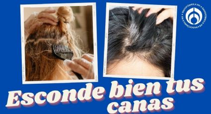 5 razones por las que tu tinte ya no te funciona para cubrir tus canas y cómo remediarlo