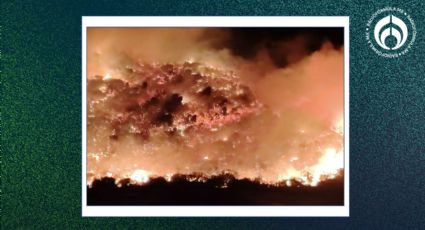 Incendio devastador en BC: evacuan a población en Tijuana y Tecate (FOTO)