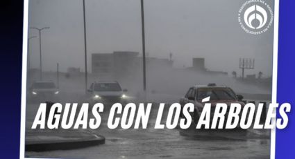 Frente frío 25 sacudirá tu fin con vientos de 90 km/h y heladas en estos estados