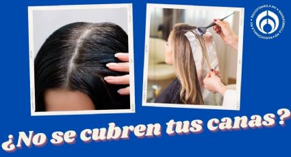 Razones por las que las canas se ven aún recién teñidas... ¿estás haciendo algo mal?