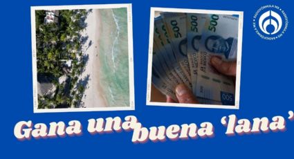 ‘Chambea’ en la playa: Hotel de Tulum ofrece 27 mil pesos al mes… estos son los requisitos