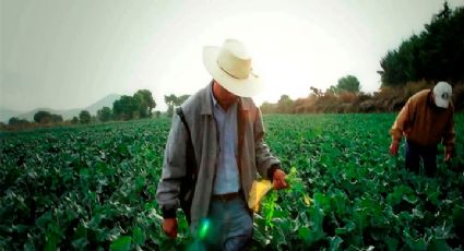 Tamaulipas se prepara para recibir a migrantes de Estados Unidos con oportunidades laborales