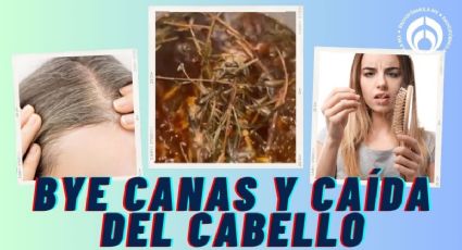 El tinte natural y efectivo para tapar las canas y combatir la caída del cabello