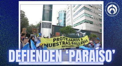 'Ballenas o gas': así es el proyecto Saguaro que genera protestas de ambientalistas