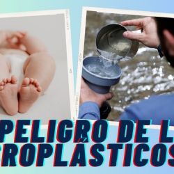 Microplásticos ¡en bebés! Hallan altas concentraciones en placentas de infantes prematuros