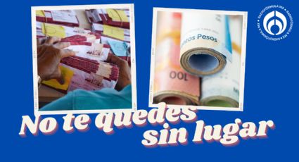 El programa para jóvenes de 18 a 29 años que da más de 8 mil pesos: estos son los requisitos