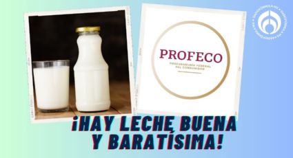 La leche con aval de Profeco y 4 veces más barata que Santa Clara