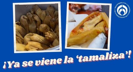 ¿Cuánto tiempo pueden durar los tamales en el refri en buen estado? Esto dicen expertos