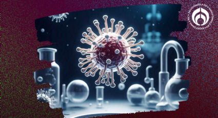 Metapneumovirus humano (HMPV): ¿cómo se contagia, qué tan peligroso es y dónde se originó?