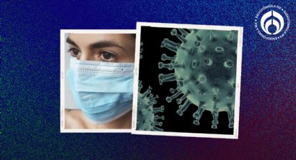 Metapneumovirus humano (HMPV): ¿debemos preocuparnos por una nueva pandemia?