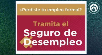 Guía definitiva: Cómo solicitar el seguro de desempleo en CDMX y obtener hasta $6,500