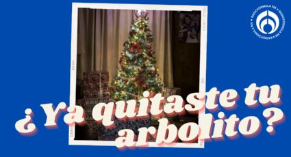 ¿Mala suerte? Las consecuencias de no quitar el árbol de Navidad este día, según el Feng Shui