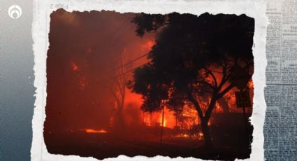 California 'arde': declaran estado de emergencia ante incendio en Los Ángeles