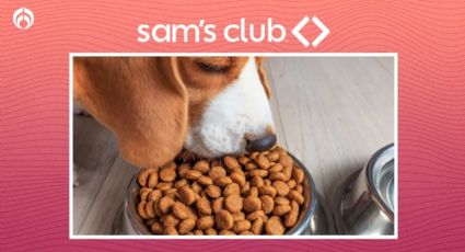 Sam's Club rebaja 3 marcas de croquetas de las mejor evaluadas por Profeco; dan heces firmes