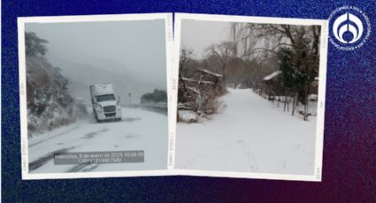 Segunda tormenta invernal deja primeras nevadas en Sonora