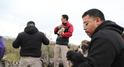 Rescatan del frío a 24 cachorros abandonados en Escobedo NL