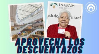 INAPAM 2025: las empresas que más tiendas con descuentos tienen