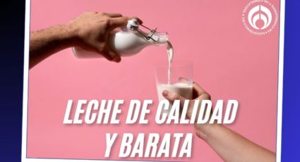 La leche que sí cumple con Profeco y es 10 pesos más barata que Santa Clara