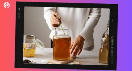 Cómo preparar tu propia kombucha: estos son los beneficios en la salud