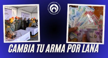 Desarme 2025: ¿cuáles son las armas por las que te dan más dinero?