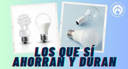 ¿Qué focos convienen más, led o ahorradores? Esto dicen expertos