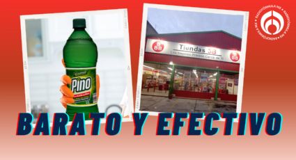 Tiendas 3B: el limpiador que le hace competencia a Pinol, con olor dudarero y que desinfecta por $15