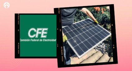 ¿Es verdad que la CFE regala paneles solares para ahorrar electricidad en casa? Comisión responde