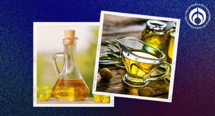 ¿Qué conviene más para freír, aceite de oliva o canola? Esto dicen expertos