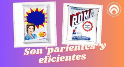 El detergente de la familia de Roma que pocos conocen que SÍ quita la mugre y tiene un rico aroma