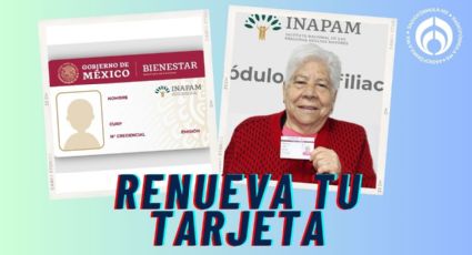 INAPAM: Estos son los motivos por los que debes de renovar la tarjeta para los descuentos de 2025