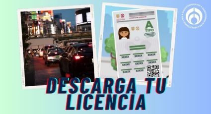 Licencia de conducir permanente en PDF: PASO a PASO de cómo puedes obtenerla