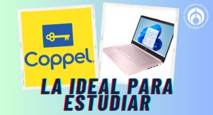 Coppel: la laptop HP rosa en menos de $6 mil; tiene excelente calidad, definición y velocidad