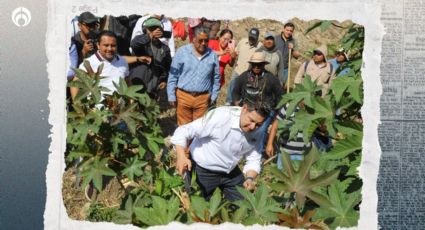 'Limpian Puebla': Armenta encabeza quinta faena comunitaria en Tehuacán