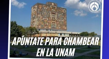 UNAM ofrece empleo de hasta 24 mil pesos en CU, Morelos y Querétaro