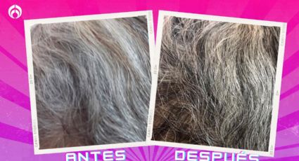 Liverpool rebaja shampoo matizador de canas sin sales, ni parabenos; deja el cabello muy suave