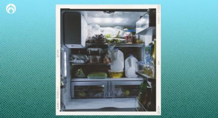 ¿Por qué no debes guardar comida en bolsas de plástico en el refrigerador?