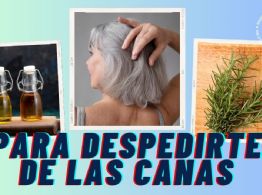 ¿Qué es mejor, el romero o el vinagre para eliminar las canas sin tinte? Esto dicen expertos