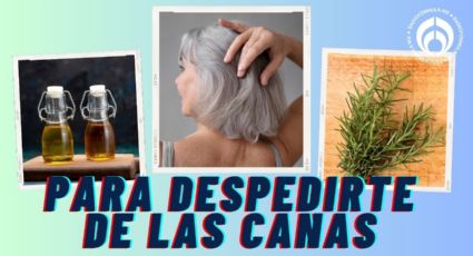 ¿Qué es mejor, el romero o el vinagre para eliminar las canas sin tinte? Esto dicen expertos