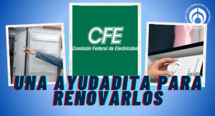 CFE: ¿qué requisitos piden para que te ayuden a comprar una lavadora o un 'refri'?